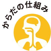 アイコン