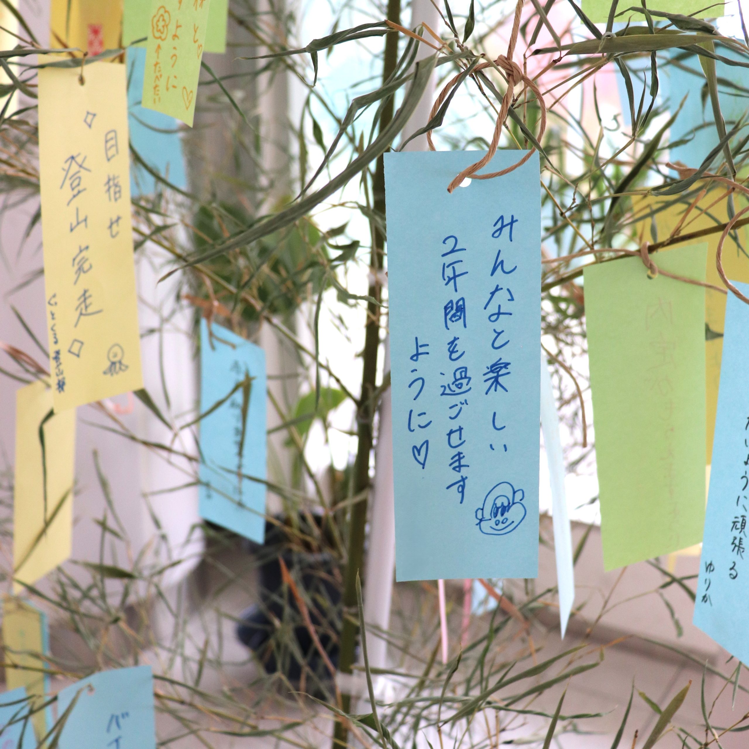 出張 図書館フェア2025🎋